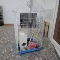 قفس بزرگ و کوچیک
