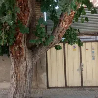 خانه-ویلایی