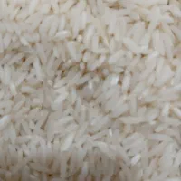 برنج هاشمی تازه امسال خوش پخت معطر