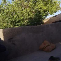 کبوتر