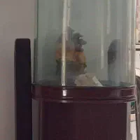 اکواریوم