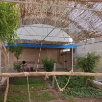 سایبان