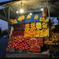 شراکت در کار تره باری