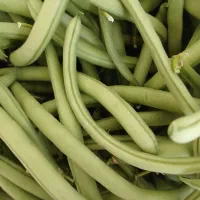 لوبیا سبز