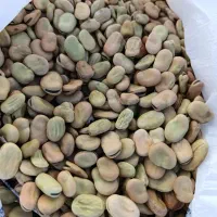 باقلا فروش معاوضه