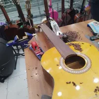 تعمیرات تخصصی گیتار نو و دست دوم