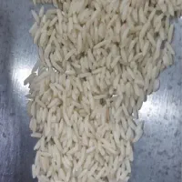 برنج هاشمی