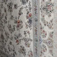 ۳تافرش ۱۲۰۰شانه نو نو ، همراه ۸تا پشتی