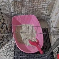 ظرف خاک گربه با پارک استیل