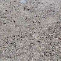 زمین-کشاورزی