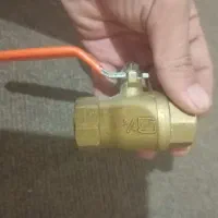 تعدادی شیرگازی درحدنوونو