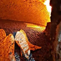 اجاره مغازه نانوایی سنگک