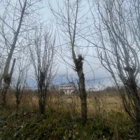 فروش زمین/نزدیک شهر/شفت/ویودار/