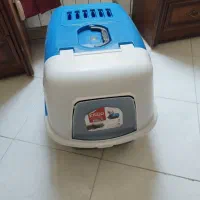 ظرف خاک گربه
