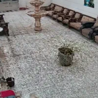 مشارکت کافه و رستوران قلیون