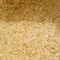 برنج چمپا چیتاب
