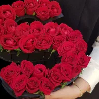 تبلیغات