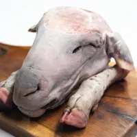 کله پاچه بره نرینه دست کامل