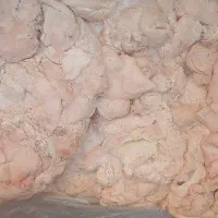 دنبه تکه تکه