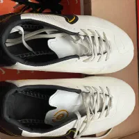 کفش استوک دار|کیف، کفش، کمربند|بوکان, |دیوار