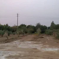 فروش ۱۴هکتارزمین کشاورزی ابی