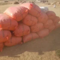 کاه عدس