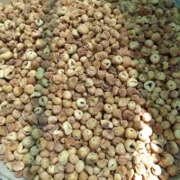 انجیر استهبان با کیفیت سفید گوشتی