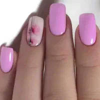 ارائه خدمات به همراه مدل برای تکمیل البوم وآموزش