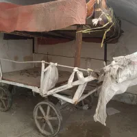 گاری،ارابه