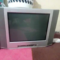 تلویزیون