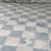 فروش اردک زبل و سرحال وباهوش
