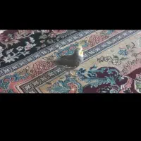 عروس هلندی
