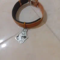 قلاده سگ بزرگ در حدبسیار نو ولیش بعلاوه باکس کوچک