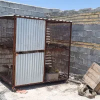 قفس بزرگ طیور وغیره