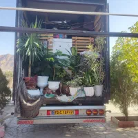 اسباب کشی بدون استرس فقط باما