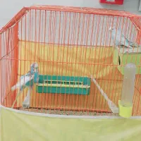 فروش|سایر لوازم برقی|اهواز, کمپلو جنوبی|دیوار