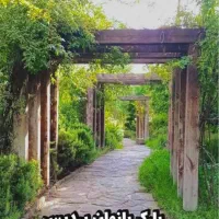 تور گردشگری پاکدشت