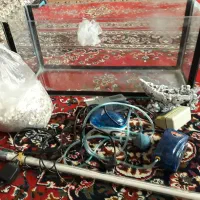 آکواریوم خانگی