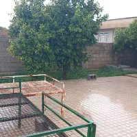 اجاره خانه ویلایی باحیاطی پراز  درخت