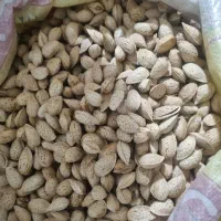بادام