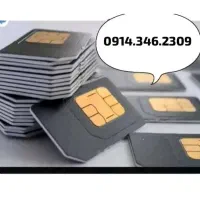 09143462309