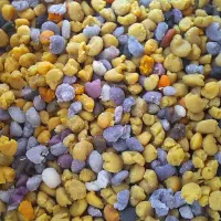 گرده گل|لوازم جانبی حیوانات|دوگنبدان, |دیوار
