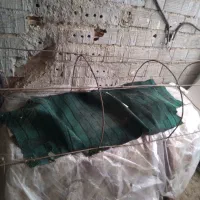 تله بومی