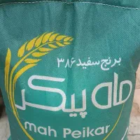 برنج ماه پیکر دانه متوسط و اقتصادی