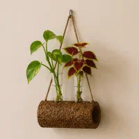 گلجا دیواری آویزدار طرح تنه درخت  دکور خاص