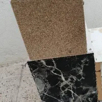 لانه عروس هلندی کوتوله برزیلی و