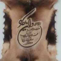 ون یکاد دیواری