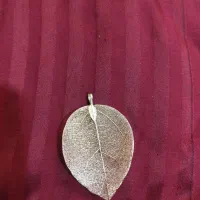 بدلیجات|بدلیجات|شاهینشهر, طالقانی|دیوار