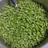 لوبیاسبزتازه خوردشده