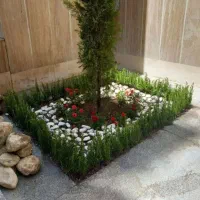کاشت گل کاشت باغچه  افتاه باغچه هرس درخت